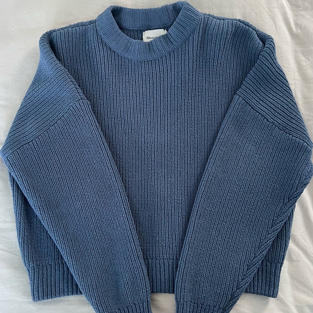 Abercrombie Matte Chenille Crewneck Sweater (Blue)